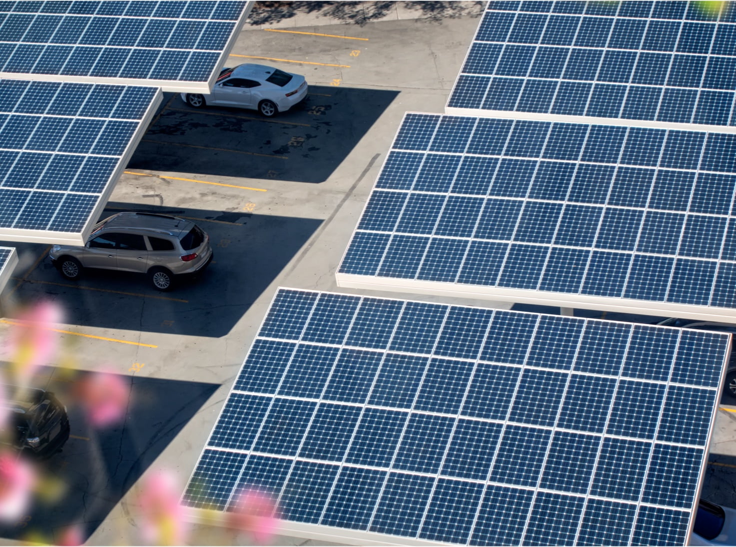 Overview of sunny solar panels covering a parking structure with parked cars