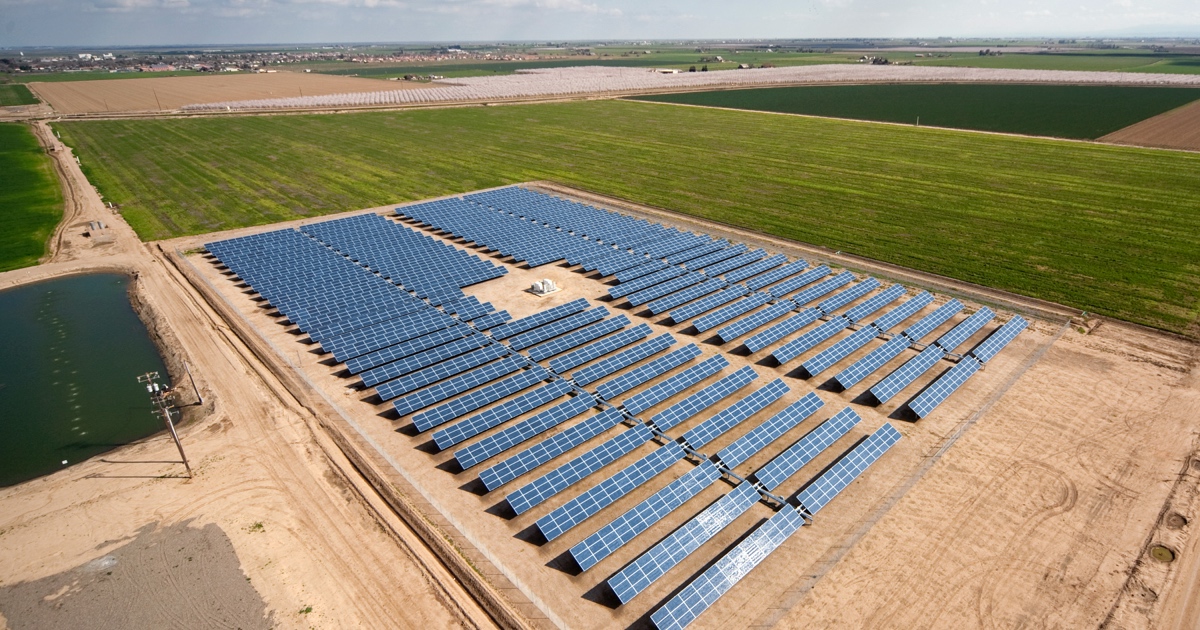 Birdseye view of field of rows of blue solar panels surrounded by green fields.