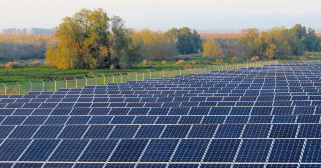 Solar farm with rows of blue solar panels with orange and green autumn trees in the background.