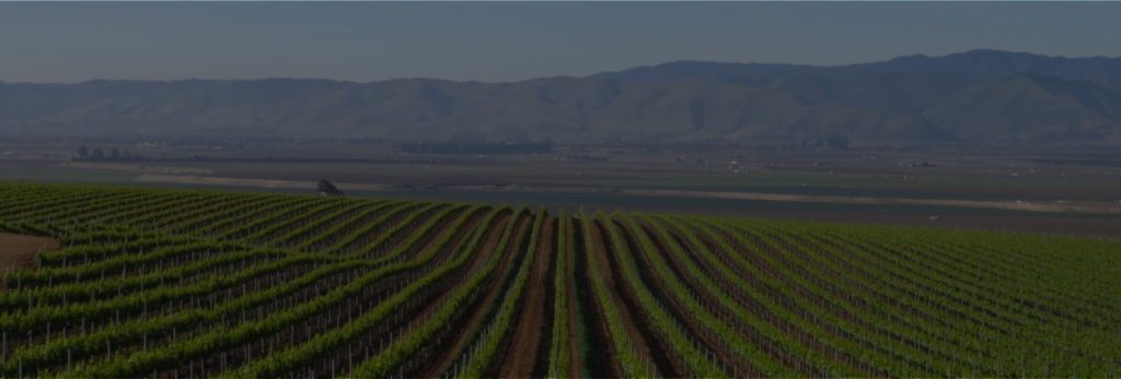 Birdseye view of farmland with green rows and mountains in the distance.
