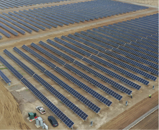 Olam Stella aerial view.