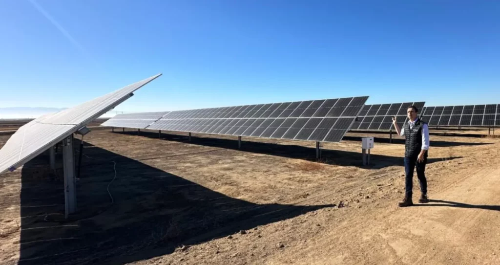 Worker pointing towards solar panel farm