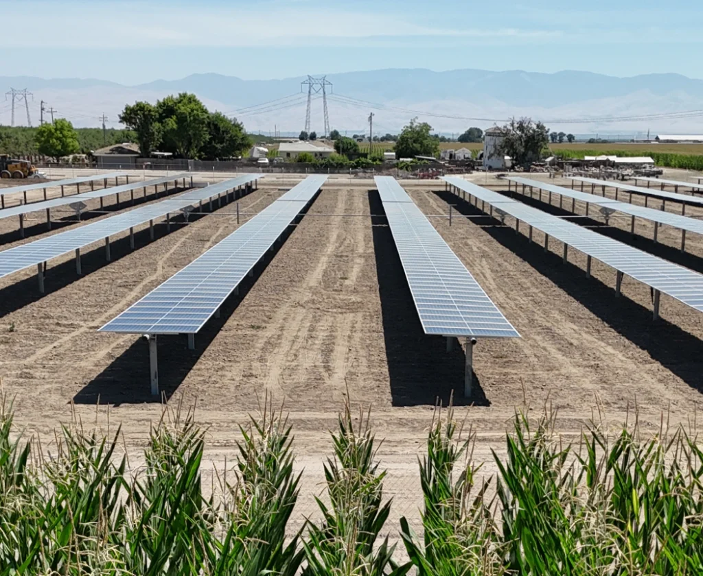 Rows of solar panels over dry brown land.
